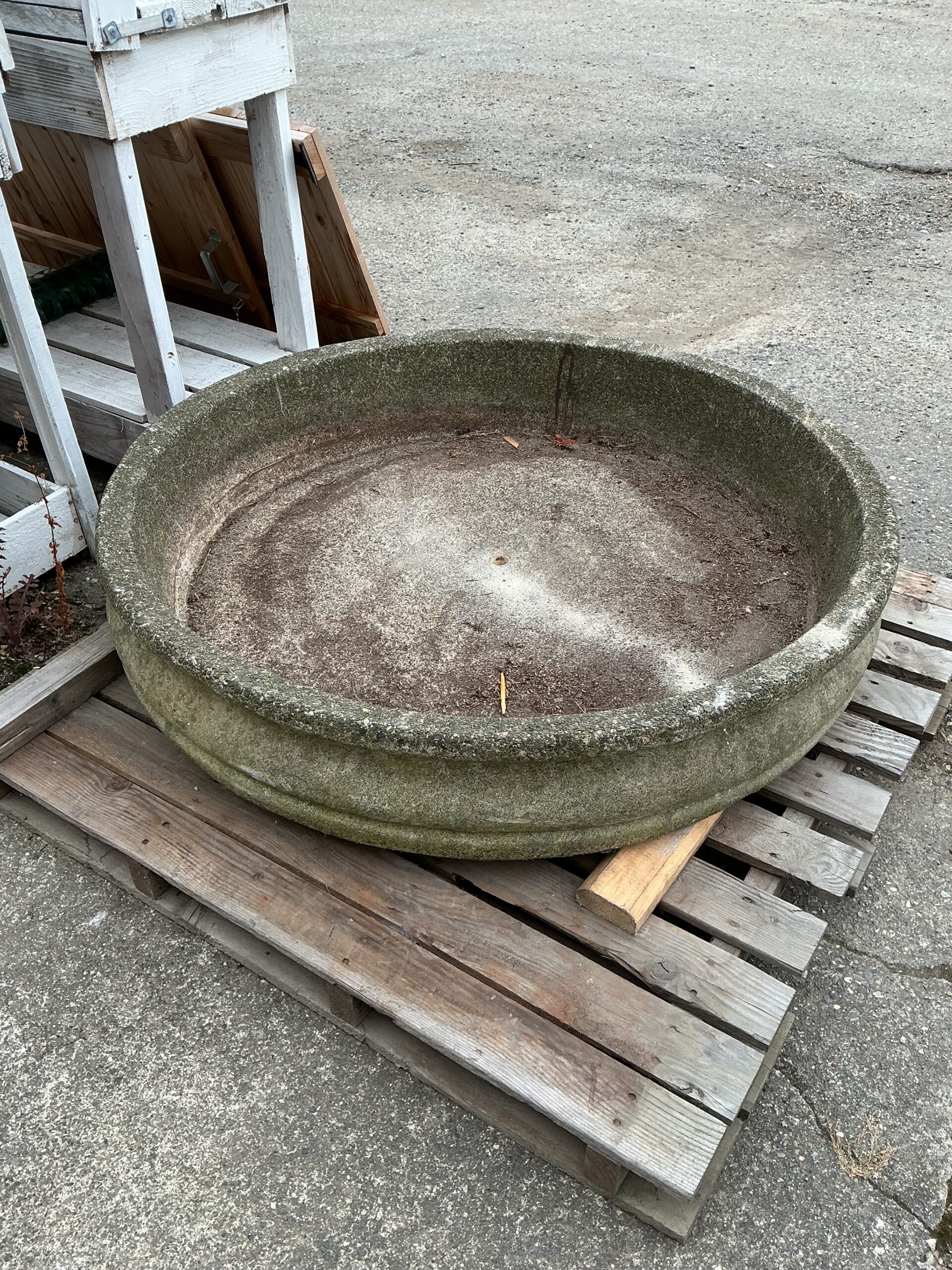 Big ol Bird Bath