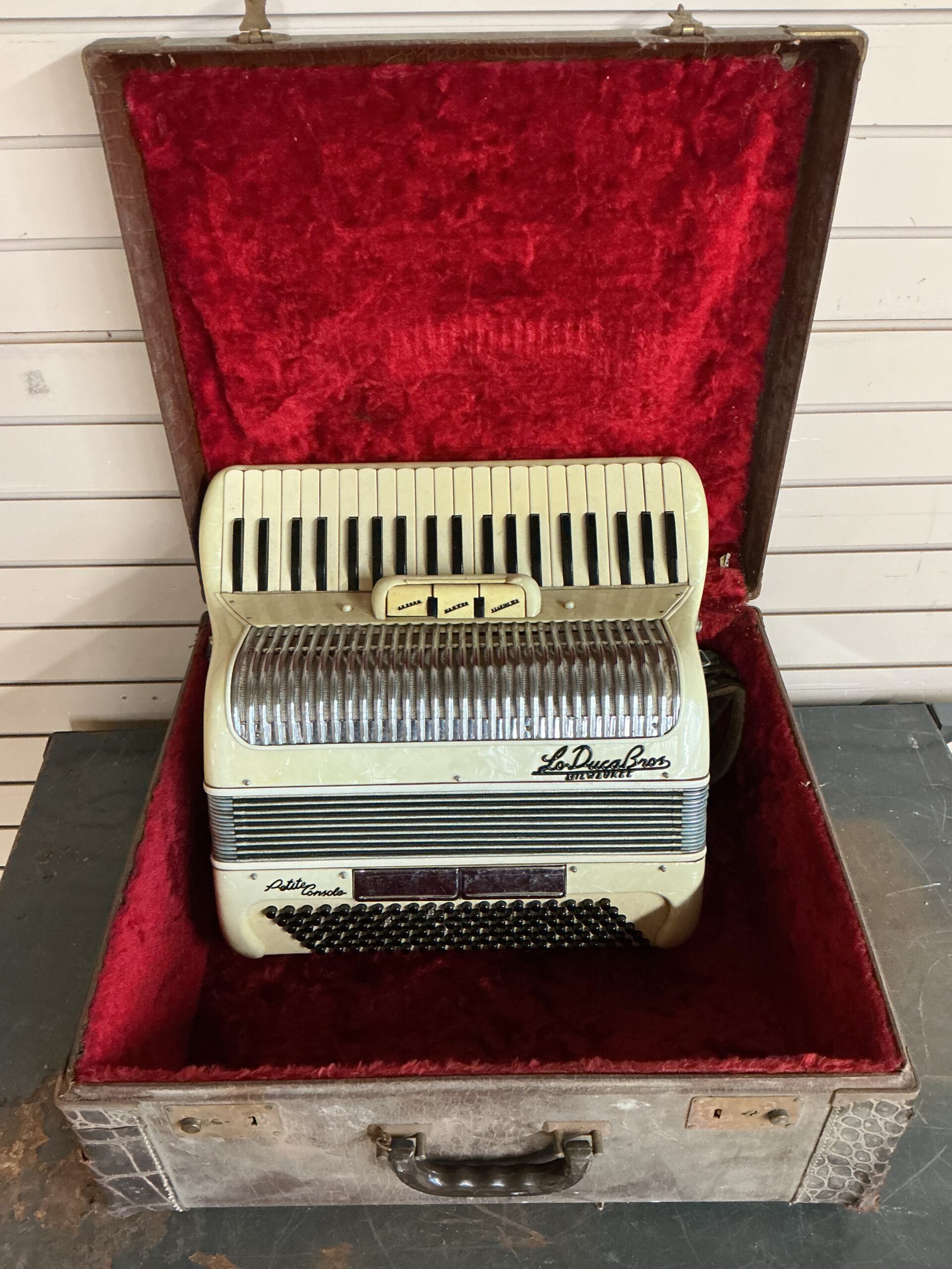 Accordian